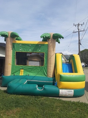Inflatable Kids Party Bounce Houses For Rent in Saratoga California